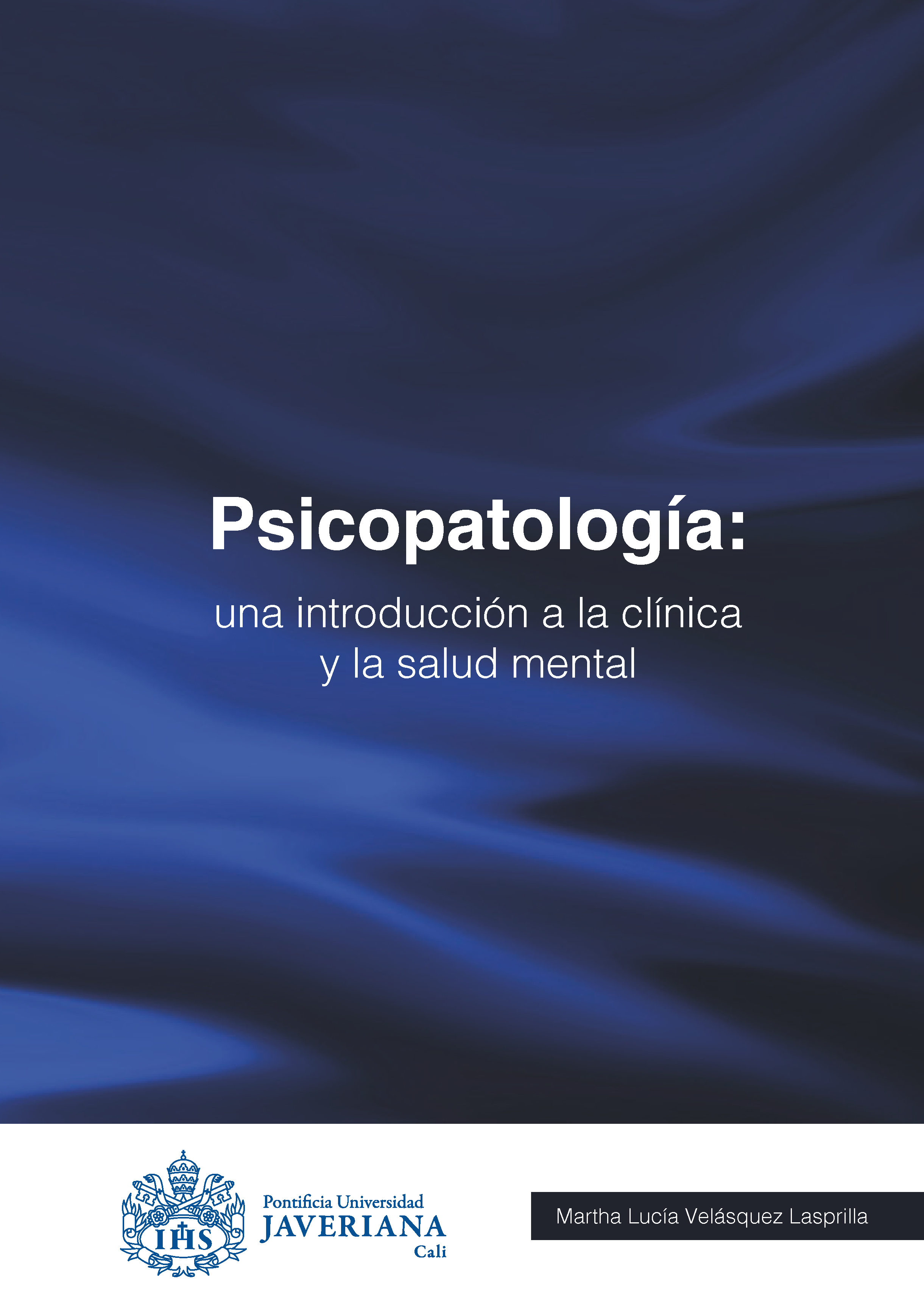 Psicopatología: una introducción a la clínica y la salud mental. Ed.1