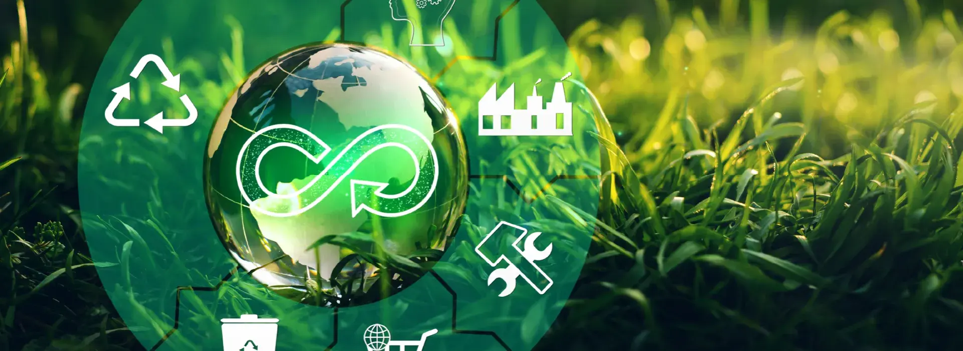 Diplomado en Economía Circular: Liderazgo y Gestión para Territorios Sostenibles